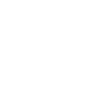 vd active logo